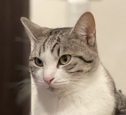 ゆず